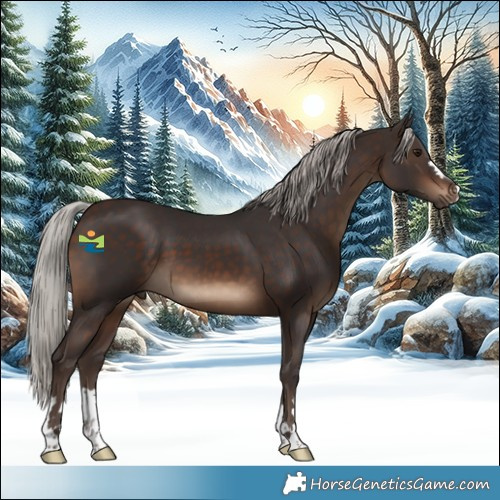 Horse Color:Silver Brown 