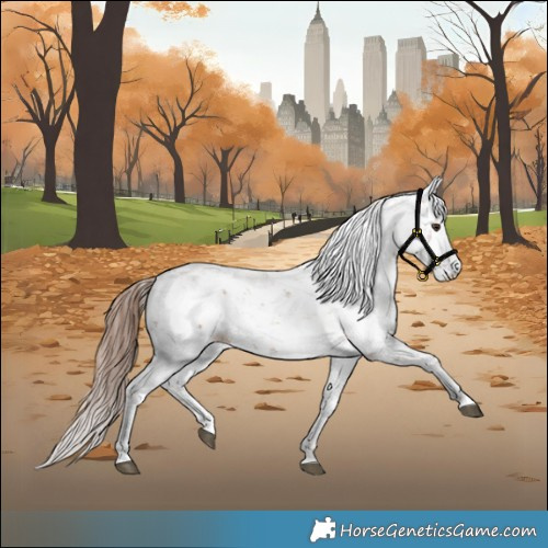 Horse Color:Red Dun Sabino