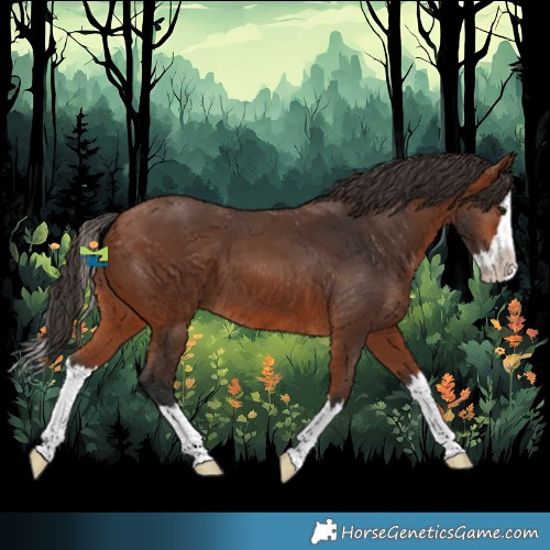 Horse Color:Bay Splash 