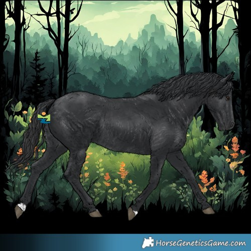 Horse Color:Black Rabicano 