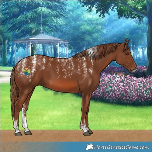 Horse Color:Powder White Chestnut 