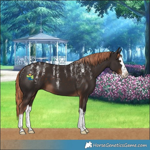 Horse Color:Powder White Liver Chestnut Splash 