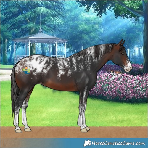 Horse Color:Powder White Brown Blanket 