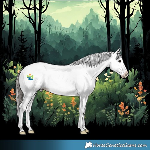 Horse Color:White Spotted Bay Dun Splash 