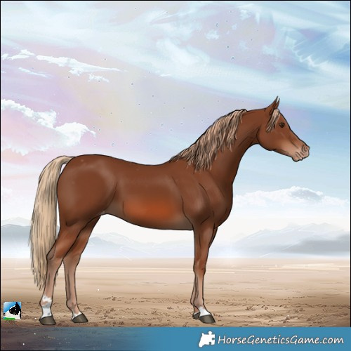 Horse Color:Chestnut Varnish