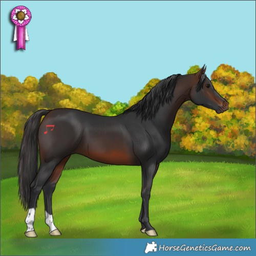 Horse Color:Brown 