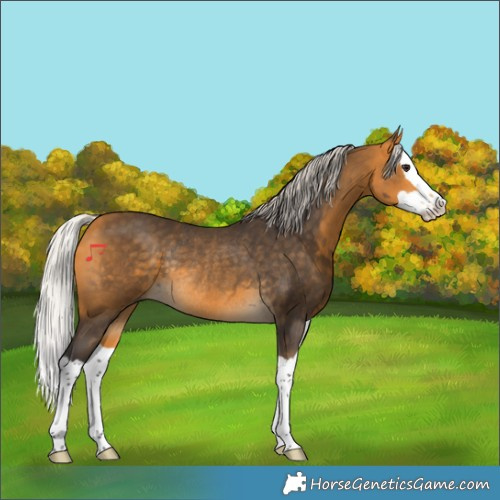 Horse Color:Silver Buckskin Splash Rabicano 