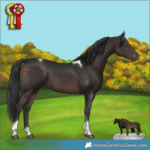 Horse Color:Brown Tobiano 