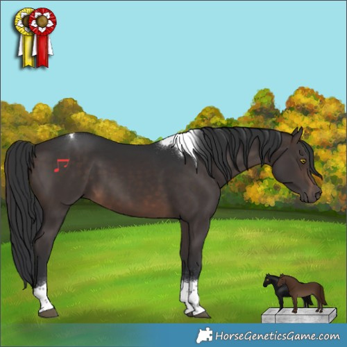 Horse Color:Brown Tobiano