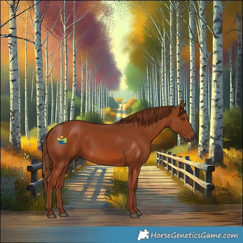 Horse Color:Chestnut 