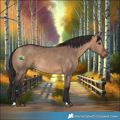 Horse Color:Bay Dun Rabicano 