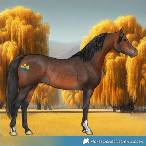 Horse Color:Bay Rabicano 