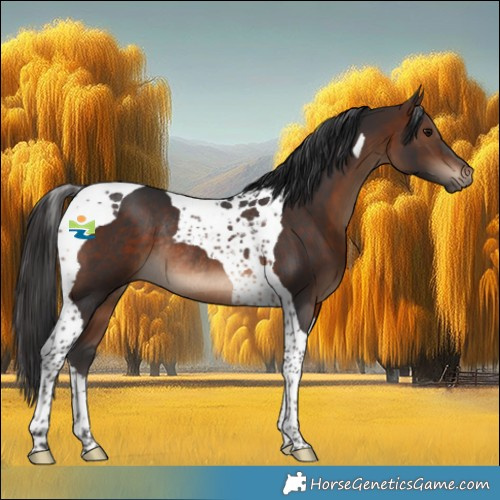 Horse Color:Brown Tobiano Rabicano 