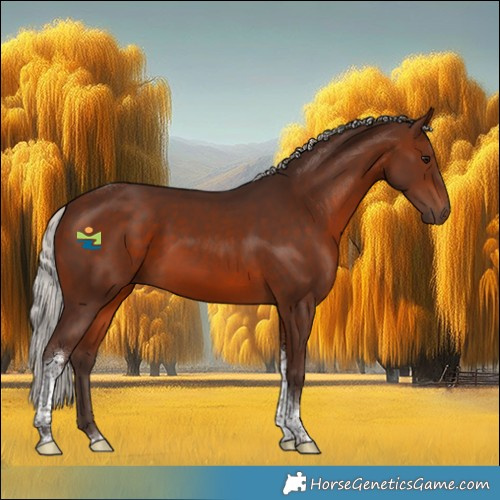 Horse Color:Silver Brown Tobiano 