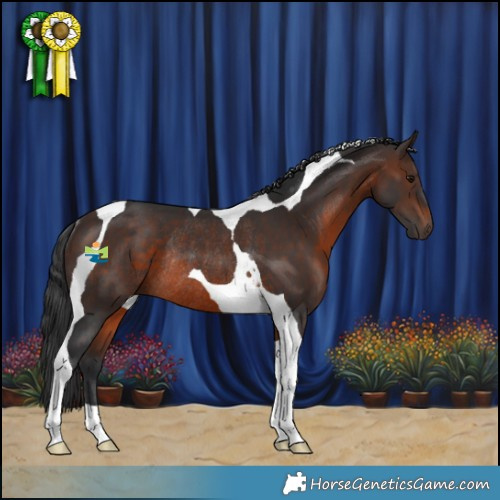 Horse Color:Brown Tobiano Rabicano