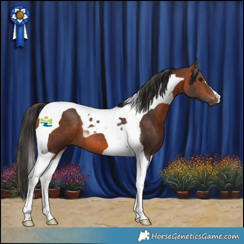Horse Color:Bay Tobiano