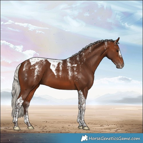 Horse Color:Powder White Silver Brown Tobiano 