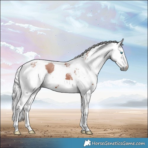 Horse Color:Powder White Silver Brown Harlequin Merle 