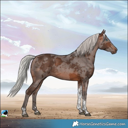 Horse Color:Silver Brown Merle Tobiano 