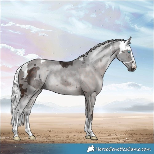 Horse Color:Silver Brown Merle 