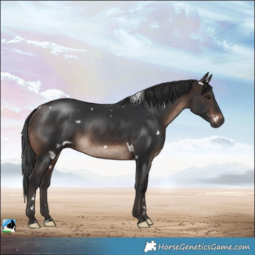Horse Color:White Spotted Brown Mushroom 