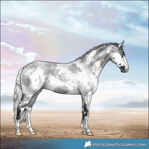 Horse Color:Smoky Blue Roan Harlequin Merle 