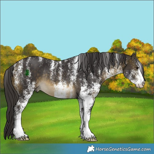 Horse Color:Powder White White Spotted Buckskin Rabicano 