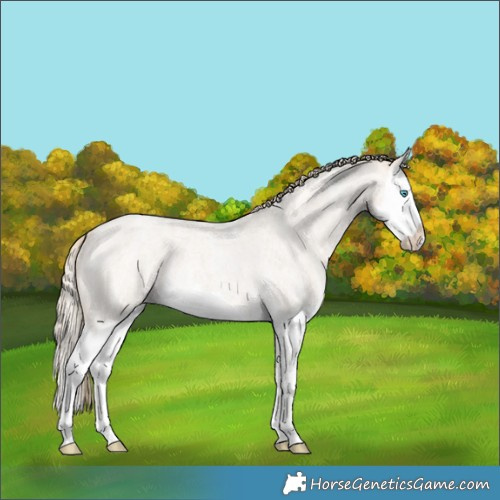 Horse Color:Smoky Creme Ice Roan Splash 