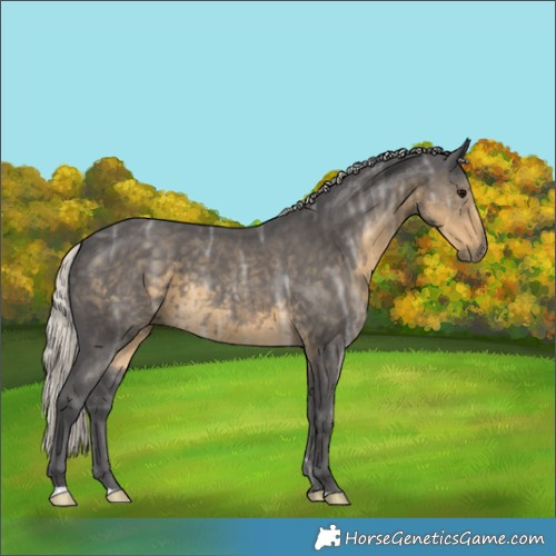 Horse Color:Silver Smoky Black Ice