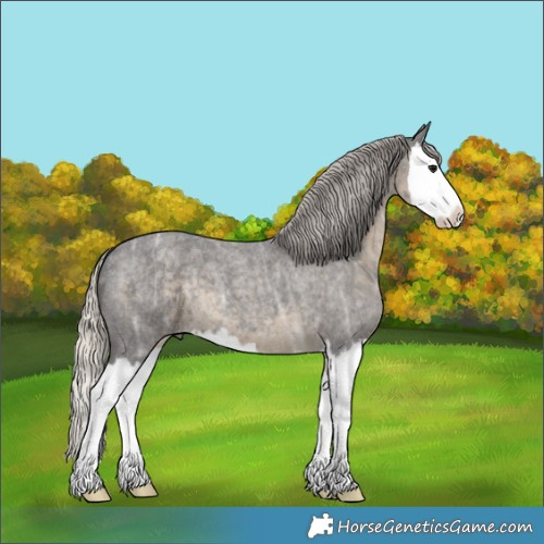 Horse Color:Silver Smoky Blue Ice Roan Splash 