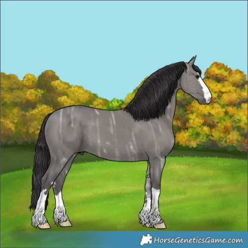 Horse Color:Smoky Grullo Ice 