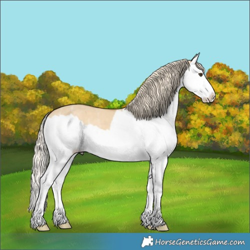 Horse Color:Palomino Ice Dun Splash 