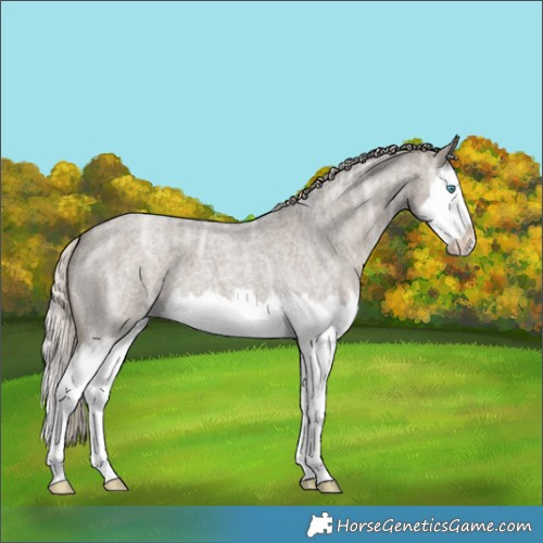 Horse Color:Silver Grullo Ice Roan Splash