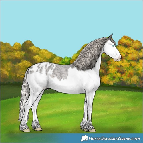 Horse Color:Silver Smoky Blue Roan Splash Blanket 