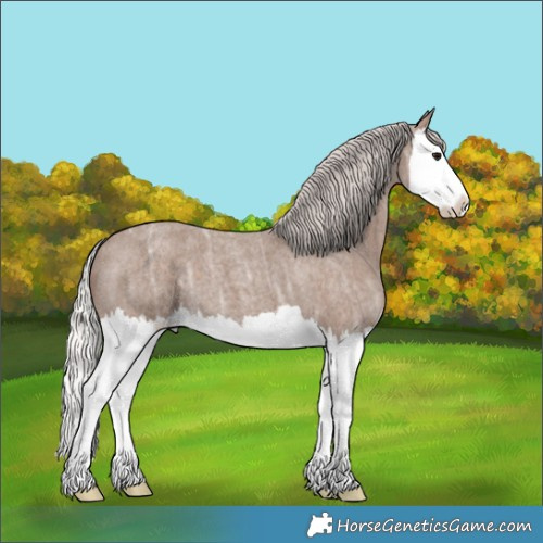 Horse Color:Silver Blue Ice Roan Splash 