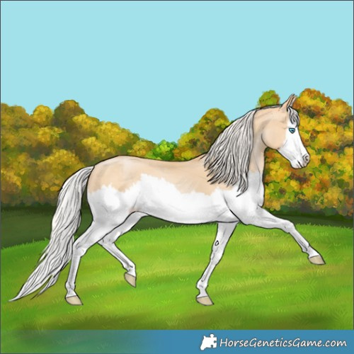 Horse Color:Silver Buckskin Pearl Splash