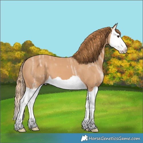 Horse Color:Chestnut Ice Splash 