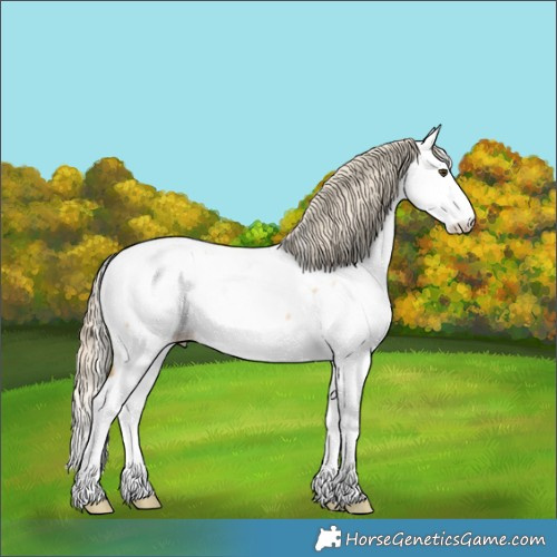 Horse Color:Palomino Ice Dun Splash Near Fewspot