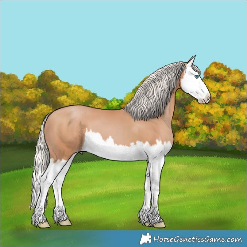 Horse Color:Silver Black Pearl Splash 