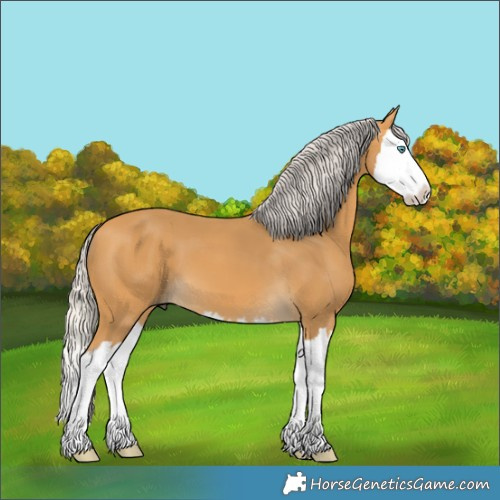 Horse Color:Silver Buckskin Splash 