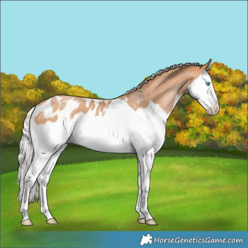 Horse Color:Silver Bay Pearl Splash Blanket