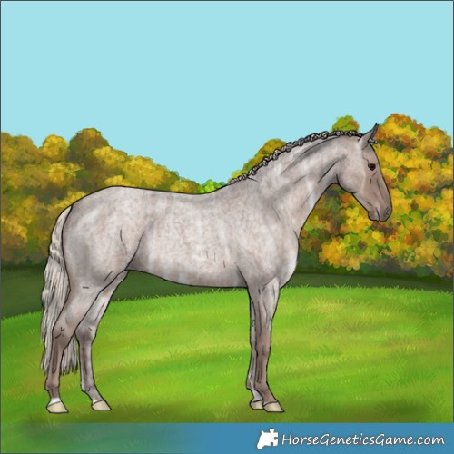 Horse Color:Silver Blue Ice Roan