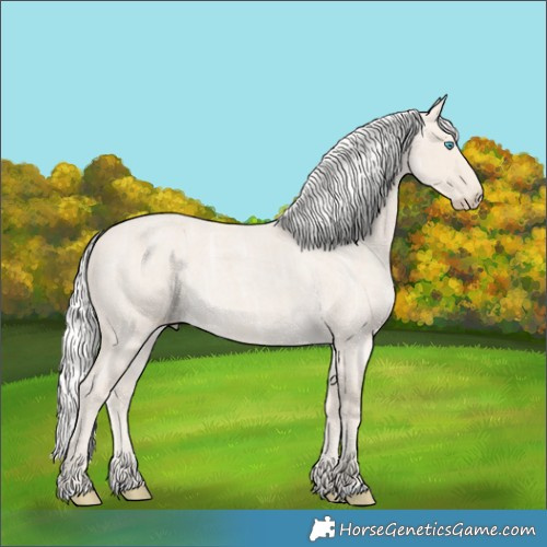 Horse Color:Silver Smoky Creme Ice Roan 