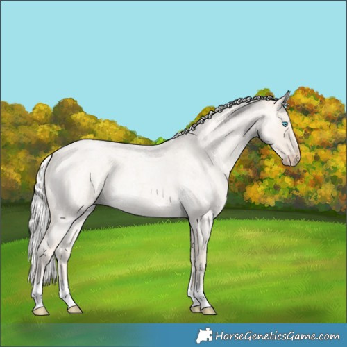 Horse Color:Silver Smoky Creme Ice Roan 