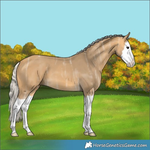 Horse Color:Silver Buckskin Ice Splash 