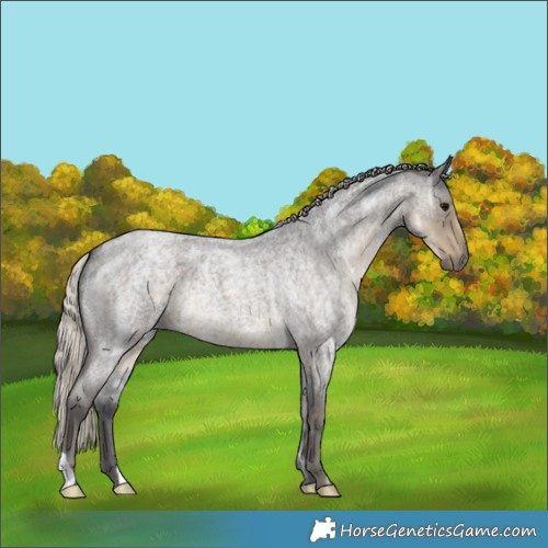 Horse Color:Silver Smoky Blue Ice Roan