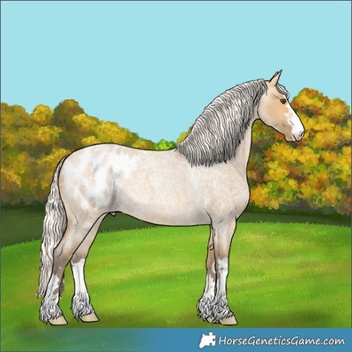 Horse Color:Silver Buckskin Roan Dun Blanket 