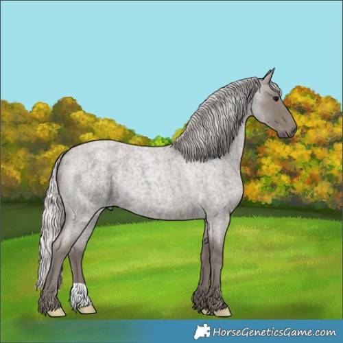 Horse Color:Silver Smoky Blue Roan 