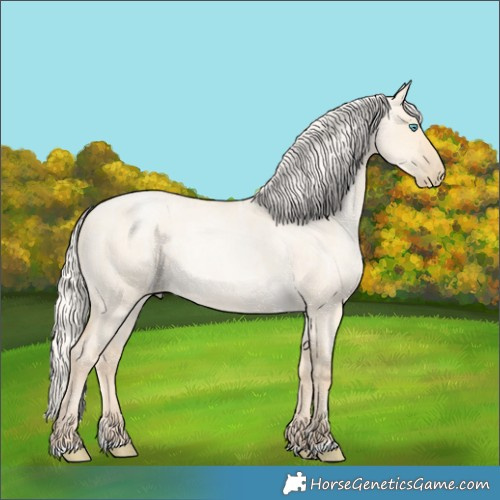 Horse Color:Silver Smoky Grullo Ice Roan Pearl