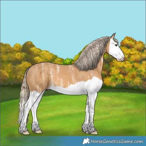 Horse Color:Palomino Ice Splash